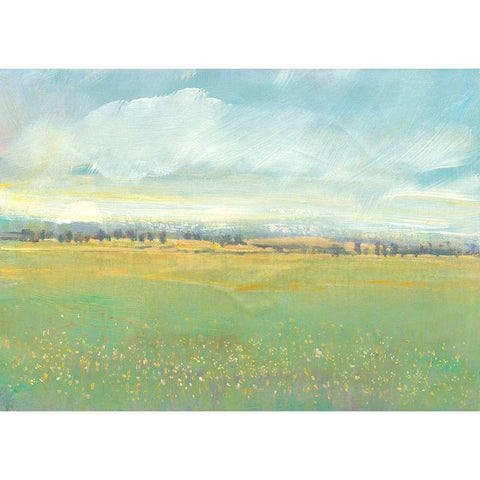 Soft Meadow Light II Gold Ornate Wood Framed Art Print with Double Matting by OToole, Tim