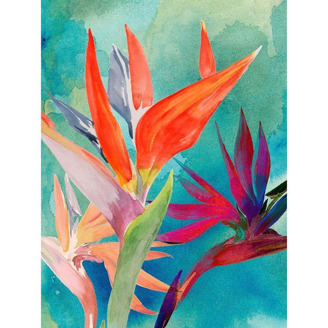 Vivid Birds of Paradise I White Modern Wood Framed Art Print by Parker, Jennifer Paxton