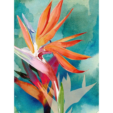 Vivid Birds of Paradise II White Modern Wood Framed Art Print by Parker, Jennifer Paxton