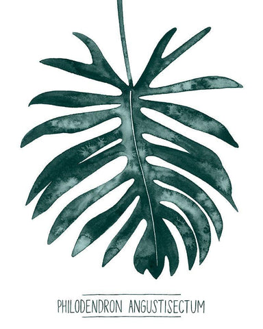 Gemstone Tropicale I White Modern Wood Framed Art Print with Double Matting by Popp, Grace