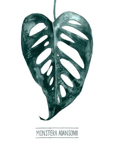 Gemstone Tropicale III White Modern Wood Framed Art Print with Double Matting by Popp, Grace