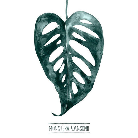 Gemstone Tropicale III Black Modern Wood Framed Art Print with Double Matting by Popp, Grace