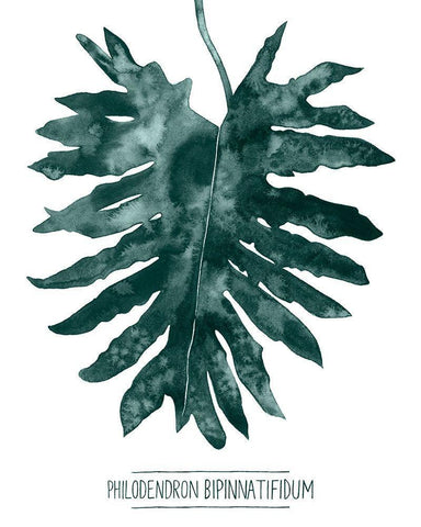 Gemstone Tropicale IV Black Ornate Wood Framed Art Print with Double Matting by Popp, Grace