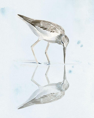 Sandpiper Reflections I White Modern Wood Framed Art Print with Double Matting by Parker, Jennifer Paxton