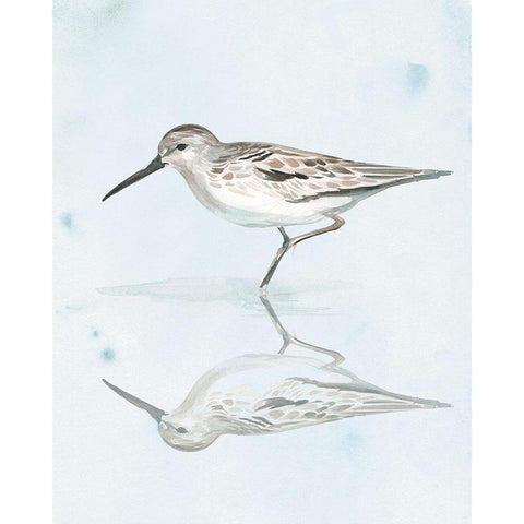 Sandpiper Reflections II Gold Ornate Wood Framed Art Print with Double Matting by Parker, Jennifer Paxton