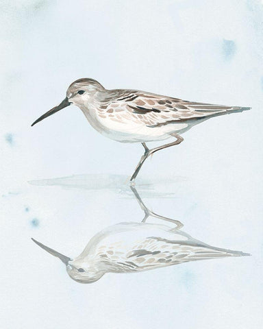 Sandpiper Reflections II Black Ornate Wood Framed Art Print with Double Matting by Parker, Jennifer Paxton