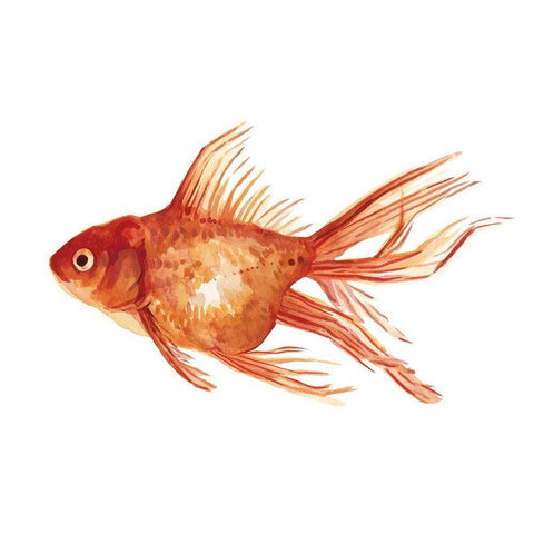 Ornamental Goldfish I White Modern Wood Framed Art Print by Scarvey, Emma