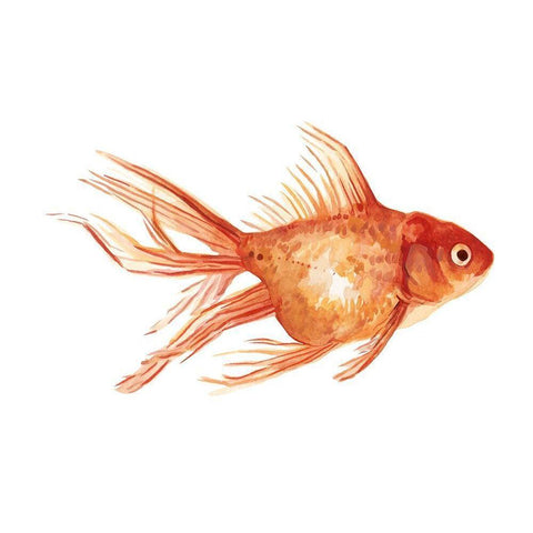 Ornamental Goldfish II White Modern Wood Framed Art Print by Scarvey, Emma