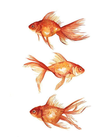 Ornamental Goldfish III White Modern Wood Framed Art Print with Double Matting by Scarvey, Emma