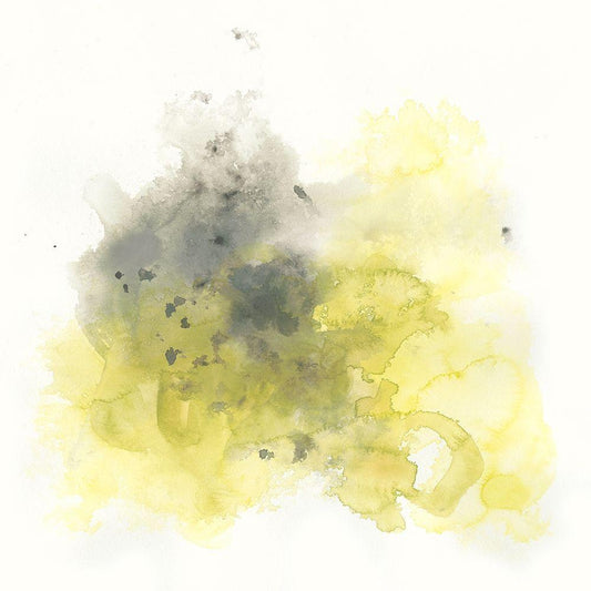 Image Only