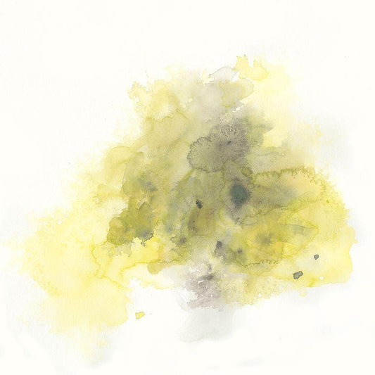 Image Only