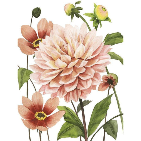 Dahlia Spell I White Modern Wood Framed Art Print by Popp, Grace