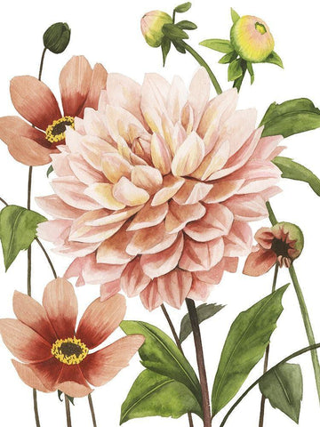 Dahlia Spell I Black Ornate Wood Framed Art Print with Double Matting by Popp, Grace
