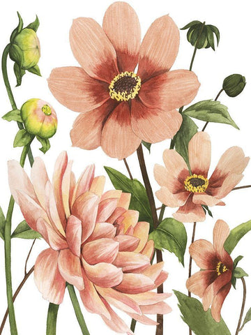 Dahlia Spell II White Modern Wood Framed Art Print with Double Matting by Popp, Grace