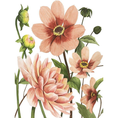 Dahlia Spell II Black Modern Wood Framed Art Print by Popp, Grace