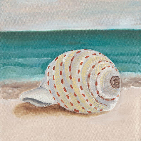 She Sells Seashells II White Modern Wood Framed Art Print by Ludwig, Alicia