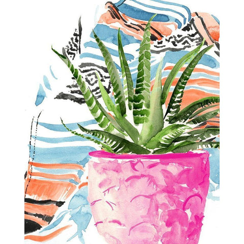 Zebra Succulent I Black Modern Wood Framed Art Print with Double Matting by Parker, Jennifer Paxton