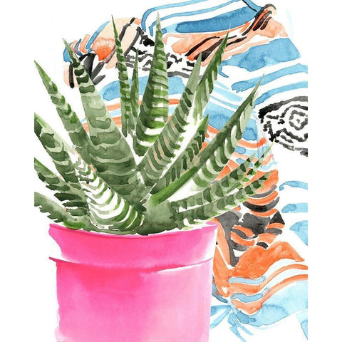 Zebra Succulent II Black Modern Wood Framed Art Print with Double Matting by Parker, Jennifer Paxton