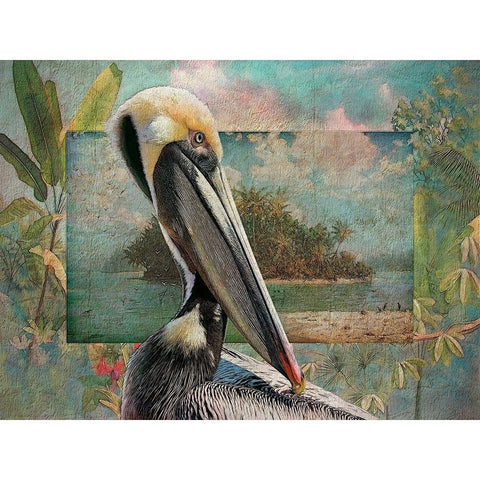 Pelican Paradise II White Modern Wood Framed Art Print by Hunziker, Steve