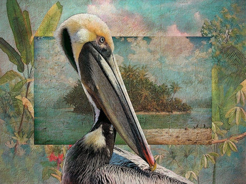 Pelican Paradise II White Modern Wood Framed Art Print with Double Matting by Hunziker, Steve