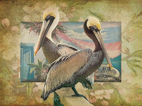 Pelican Paradise IV White Modern Wood Framed Art Print with Double Matting by Hunziker, Steve