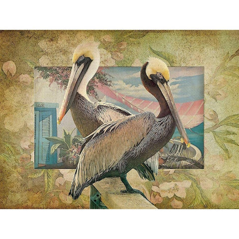 Pelican Paradise IV Black Modern Wood Framed Art Print by Hunziker, Steve