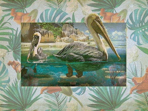 Pelican Paradise V White Modern Wood Framed Art Print with Double Matting by Hunziker, Steve