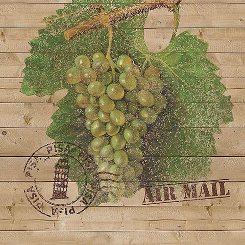 Grape Crate IV Black Modern Wood Framed Art Print with Double Matting by Nobleworks Inc.