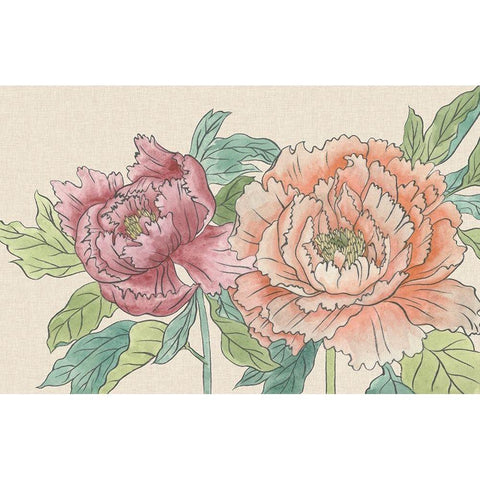 Peony Blooms IV Black Modern Wood Framed Art Print with Double Matting by Wang, Melissa