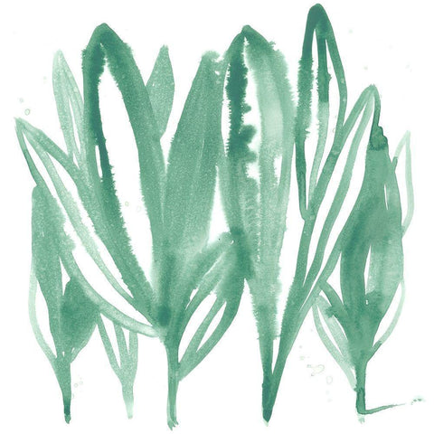 Boho Tropicals IV Black Modern Wood Framed Art Print by Vess, June Erica