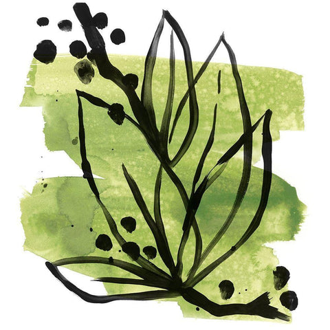 Tropical Sumi-e II Black Ornate Wood Framed Art Print with Double Matting by Vess, June Erica