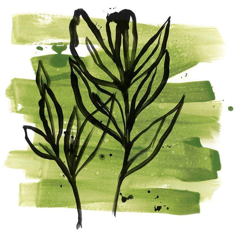 Tropical Sumi-e VI White Modern Wood Framed Art Print with Double Matting by Vess, June Erica