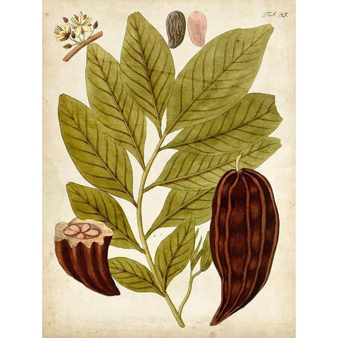 Horticultural Specimen III Gold Ornate Wood Framed Art Print with Double Matting by Unknown