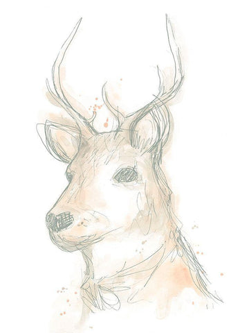 Deer Cameo III White Modern Wood Framed Art Print with Double Matting by Vess, June Erica