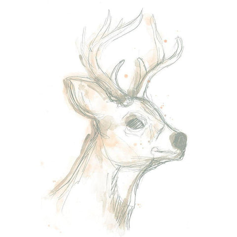 Deer Cameo IV Black Modern Wood Framed Art Print with Double Matting by Vess, June Erica