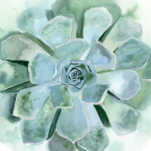 Verdant Succulent III White Modern Wood Framed Art Print by Borges, Victoria