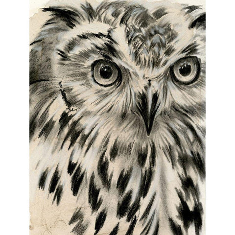 Charcoal Owl I White Modern Wood Framed Art Print by Parker, Jennifer Paxton