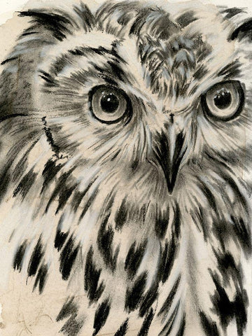 Charcoal Owl I Black Ornate Wood Framed Art Print with Double Matting by Parker, Jennifer Paxton