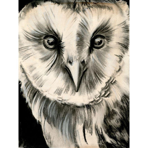 Charcoal Owl II White Modern Wood Framed Art Print by Parker, Jennifer Paxton