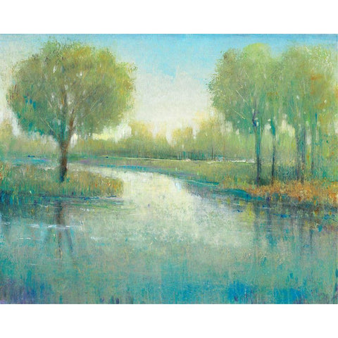 Winding River II Gold Ornate Wood Framed Art Print with Double Matting by OToole, Tim