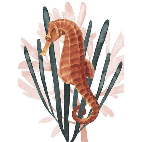 Seahorse Treasures II White Modern Wood Framed Art Print by Popp, Grace