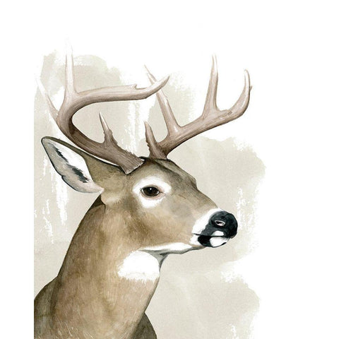 Timberland Friend I Black Modern Wood Framed Art Print with Double Matting by Popp, Grace