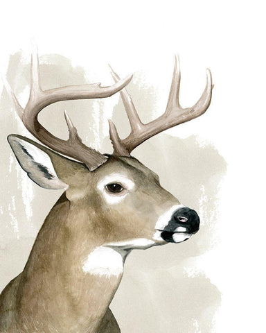 Timberland Friend I White Modern Wood Framed Art Print with Double Matting by Popp, Grace