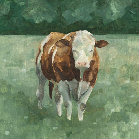 Hereford Cattle II White Modern Wood Framed Art Print by Scarvey, Emma