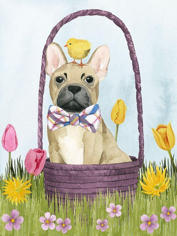 Puppy Easter III White Modern Wood Framed Art Print with Double Matting by Popp, Grace