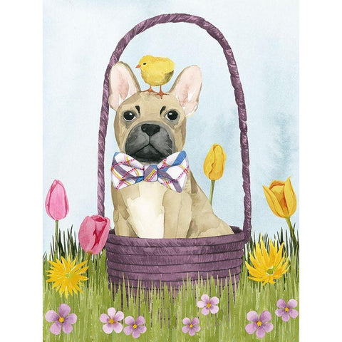Puppy Easter III Black Modern Wood Framed Art Print by Popp, Grace