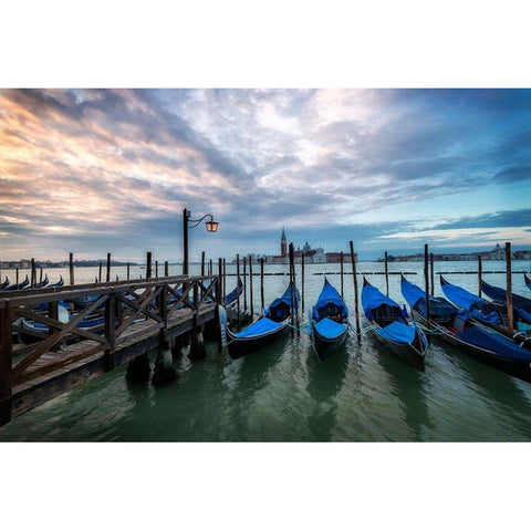 Just Waiting I White Modern Wood Framed Art Print by Head, Danny