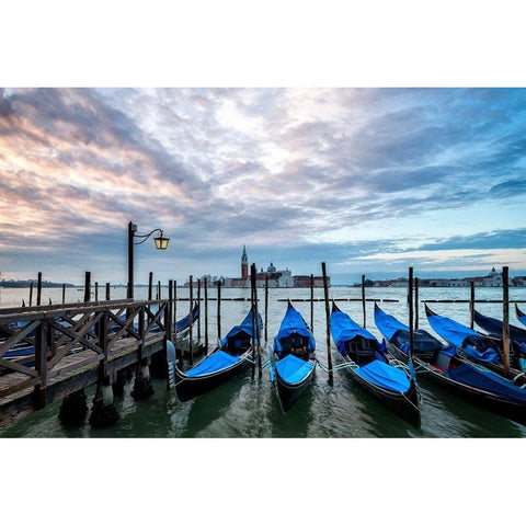 Just Waiting II Black Modern Wood Framed Art Print by Head, Danny