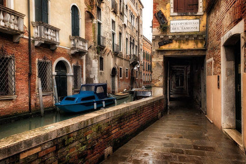 Del Tamossi Black Ornate Wood Framed Art Print with Double Matting by Head, Danny