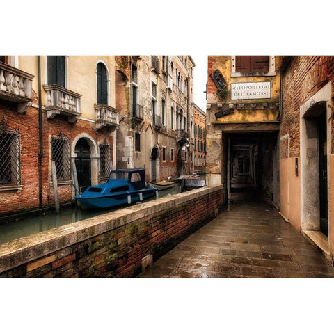 Del Tamossi Black Modern Wood Framed Art Print by Head, Danny